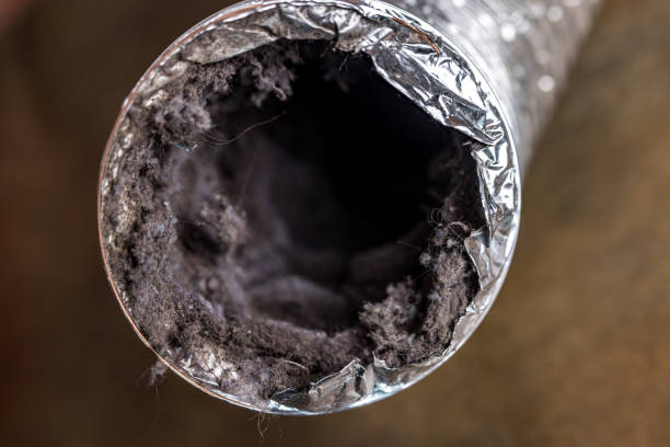 Best Air Duct Sanitizing Services  in Rhinelander, WI